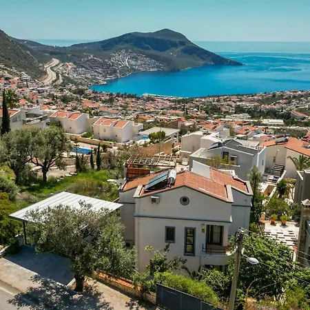 Kirlangic Villa *